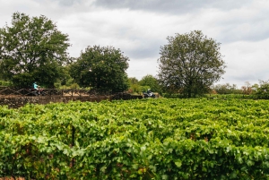 Taormina or Giardini Naxos: Off-Road ATV Tour of Mount Etna