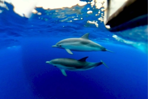 Taormina: rundtur i Vita lotusen