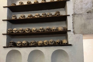 Les momies des catacombes des Capucins : un voyage entre mystères et secrets