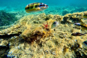 Tropea: retki enintään 8 hengelle, eksklusiivinen Costa degli Dei