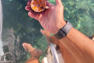 Tropea: retki enintään 8 hengelle, eksklusiivinen Costa degli Dei