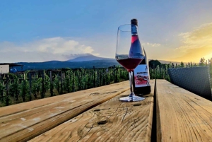 Vintur med vinsmaking