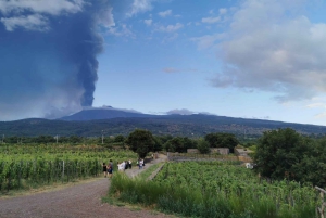 Vintur med vinsmaking
