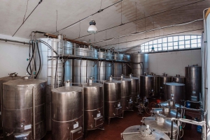 Экскурсия по винодельне и дегустация сицилийских органических вин в Марсале