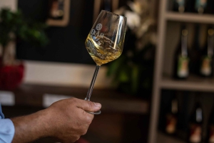 Экскурсия по винодельне и дегустация сицилийских органических вин в Марсале