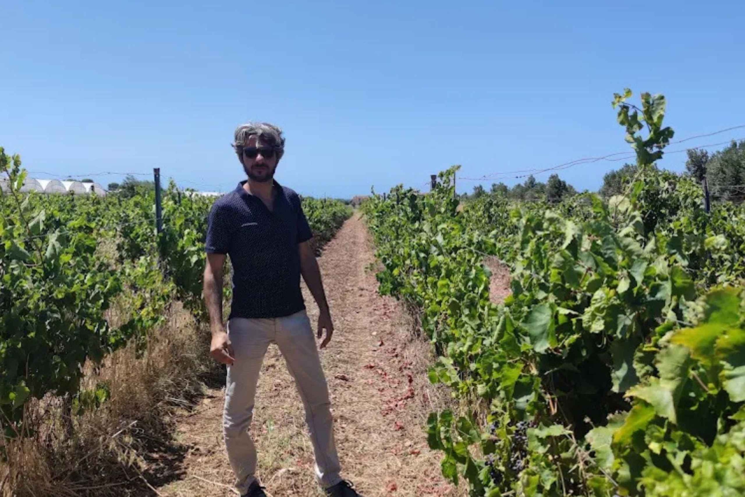 Экскурсия по винодельне и дегустация вина и местной еды недалеко от Рагузы