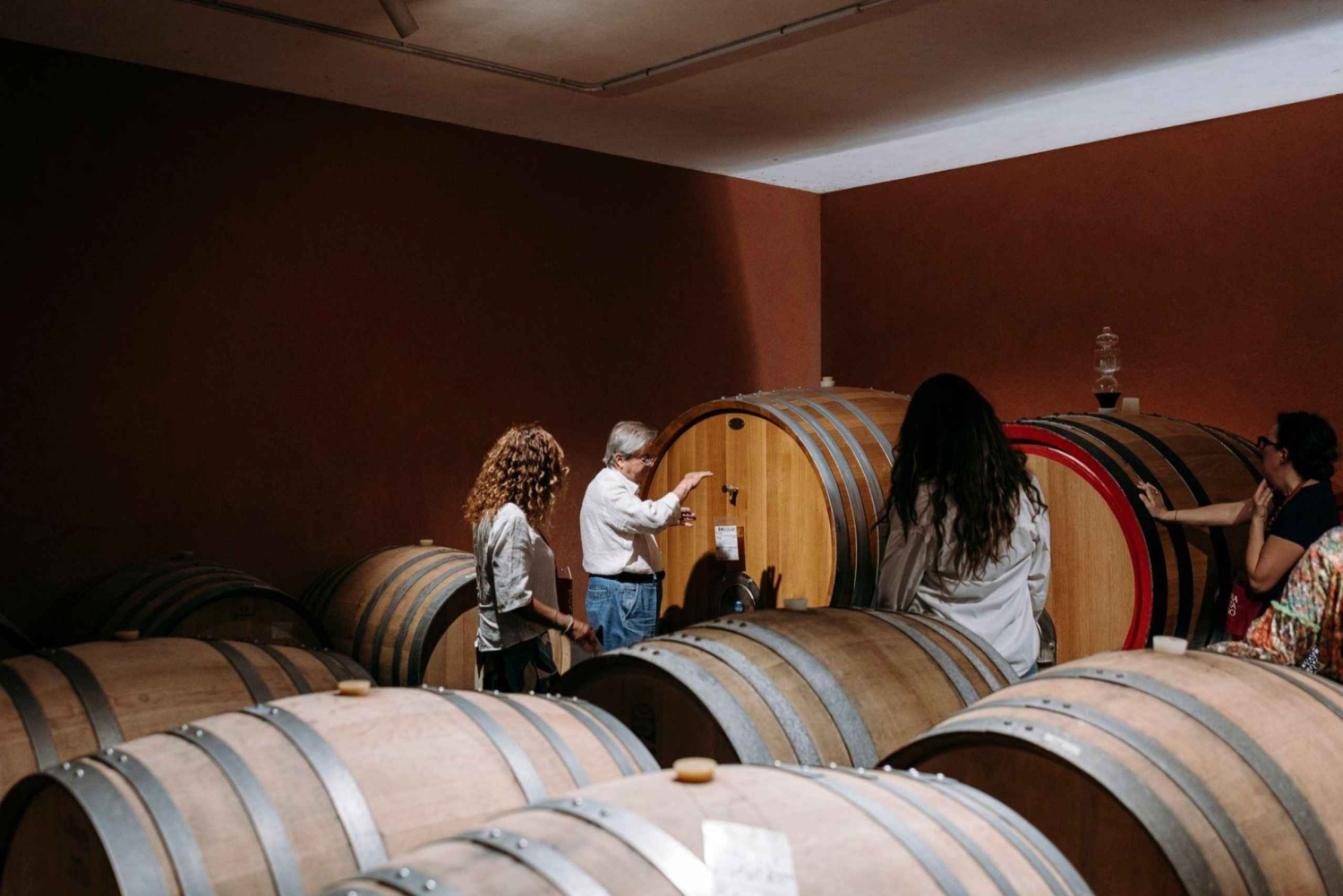 Viinitilan vierailu ja maistelu tulivuoren rinteillä lähellä Cataniaa