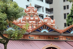 Singapore: 2-Hour Private City Tour Off the Beaten Track