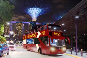 Singapore: Big Bus Hop-On Hop-Off Sightseeing Tour