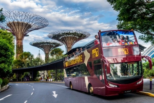Singapore: Big Bus Hop-On Hop-Off Sightseeing Tour