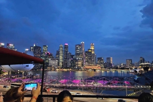 Singapore: Big Bus Night Tour by Open-Top Bus & Live Guide