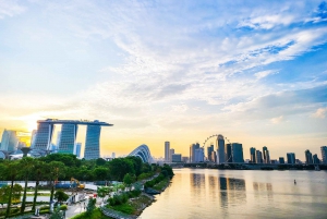 Singapore: Big Bus Night Tour with Live Guide