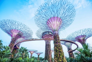 Singapore: Go City All-Inclusive Pass with 40+ Attractions