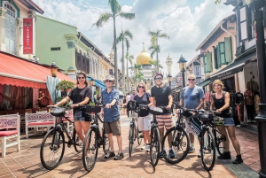 Singapore: Go City All-Inclusive Pass with 40+ Attractions