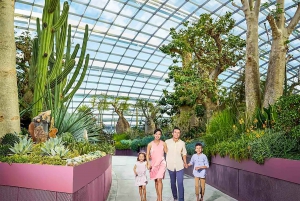 Singapore: Go City All-Inclusive Pass with 40+ Attractions