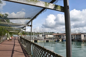 Singapore: Guided Boat Tour and Kelong Fish Farm Visit