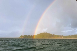 Singapore: Guided Boat Tour and Kelong Fish Farm Visit