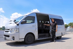 Singapore: Highlights and Hidden Gems Private Car Tour