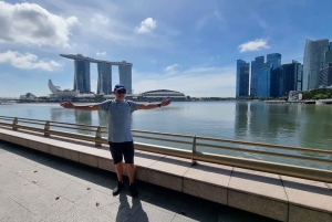 Singapore: Highlights and Hidden Gems Private Car Tour