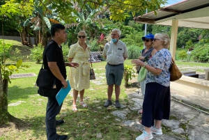 Singapore: Highlights and Hidden Gems Private Car Tour