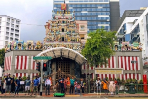 Singapore: Highlights and Hidden Gems Private Car Tour