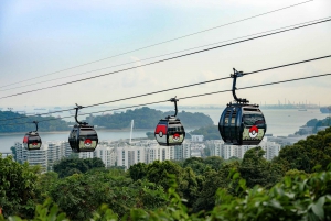 Singapore: Sentosa Cable Car Sky Pass Ticket