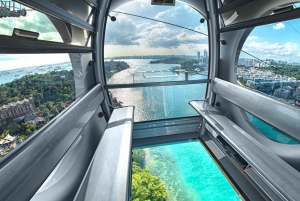 Singapore: Sentosa Cable Car Sky Pass Ticket