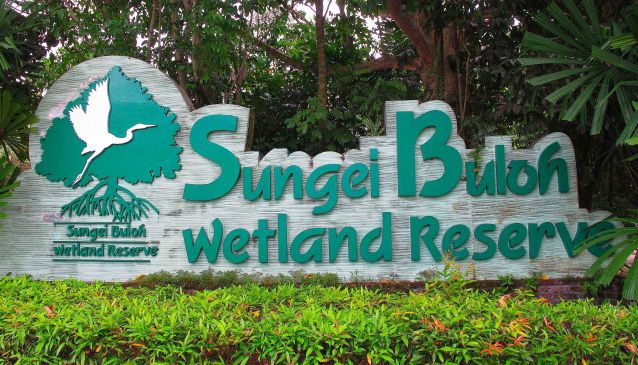 Sungei Buloh Wetland Reserve