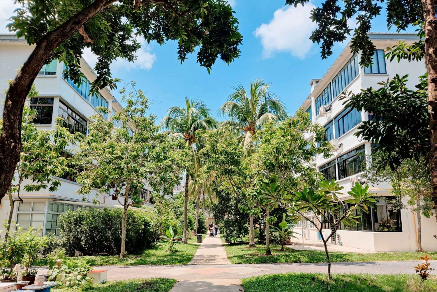 Tiong Bahru: Stories & Snacks in Singapore's Oldest Estate