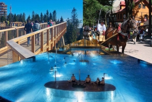 Fra Krakow: Slovakiet Treetop Walk, Zakopane & Thermal Spa