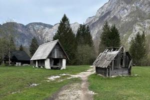 リュブリャナからの日帰り旅行：魔法のような自然とボヒン湖