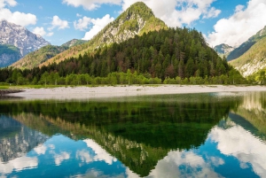 Firenze: trasferimento privato a Vienna con visite turistiche + biglietti