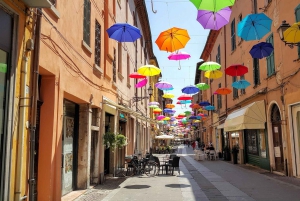 Firenze: trasferimento privato a Vienna con visite turistiche + biglietti