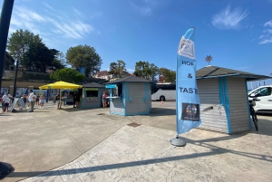 Из Копера: 5-часовой тур в пещеру Постойна и Предъямский замок