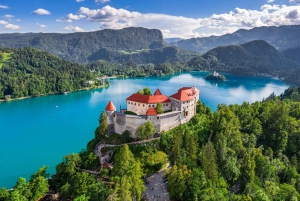 From Ljubljana: Postojna Cave & Lake Bled Trip