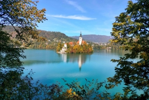 Da Lubiana: Escursione privata sul Lago di Bled