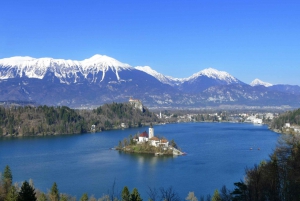 Da Lubiana: Escursione privata sul Lago di Bled