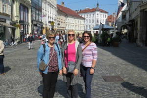 From Zagreb: Ljubljana and Lake Bled Day Trip by Minivan