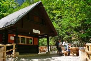 Ljubljana: Savica Waterfall, Lake Bohinj, and Lake Bled Tour