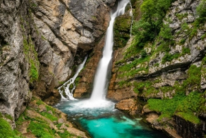 Ljubljana: Savica Waterfall, Lake Bohinj, and Lake Bled Tour