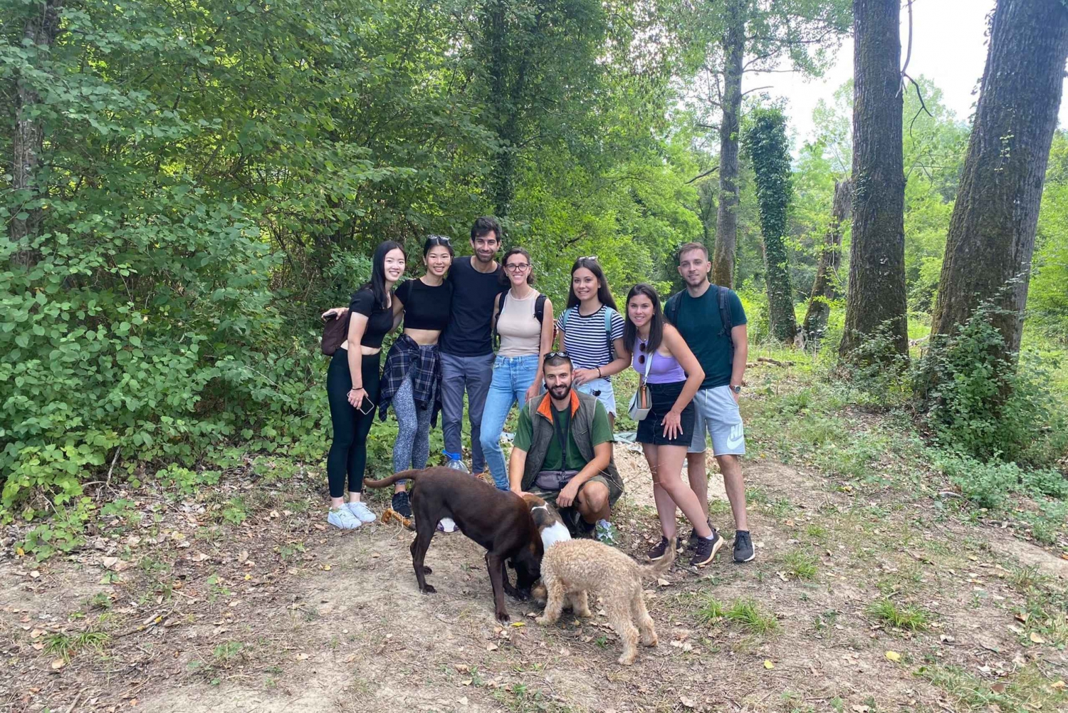 Liubliana: Excursión guiada a la caza de trufas con traslados al hotel