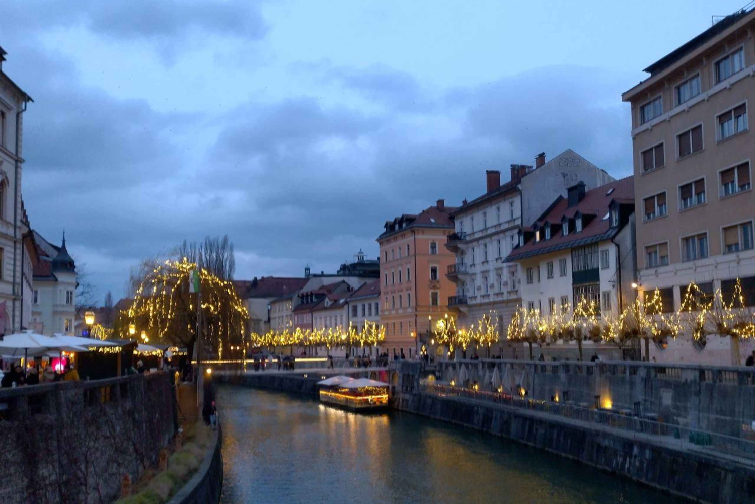 Ljubljana: Privat guidet byomvisning