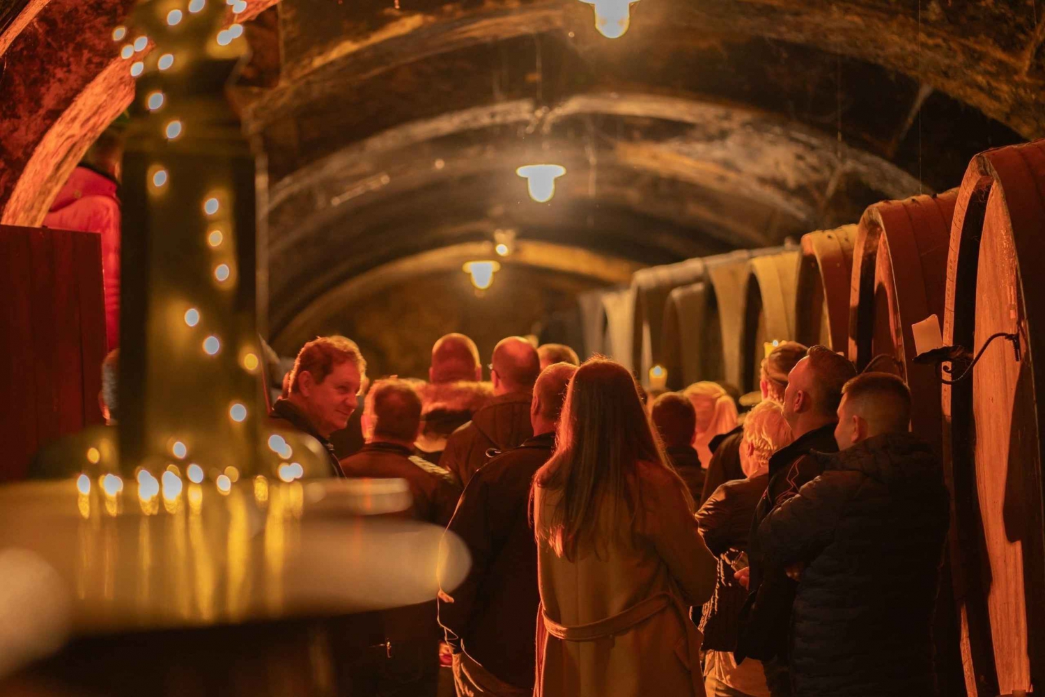 Maribor: Tour delle cantine Vinag con degustazione di vini e spuntini