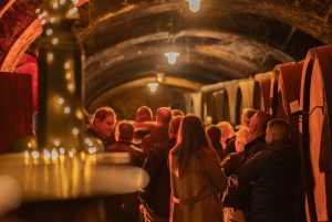 Maribor: Tour delle cantine Vinag con degustazione di vini e spuntini