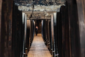 Maribor: Tour delle cantine Vinag con degustazione di vini e spuntini