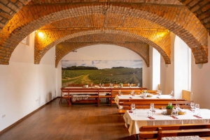 Maribor: Tour delle cantine Vinag con degustazione di vini e spuntini