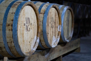 Maribor: Tour delle cantine Vinag con degustazione di vini e spuntini