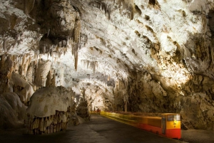 Postojna Cave & Predjama Castle from Ljubljana