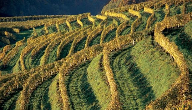 Prlekija - Ljutomer - Jeruzalem