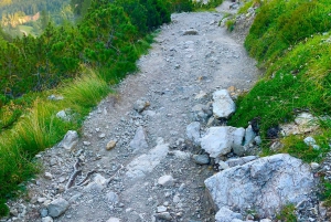 Slovensk eventyr - kreativ fotografering